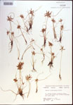 000022423-thumbnail.jpg