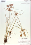 000022427-thumbnail.jpg