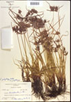 000022437-thumbnail.jpg