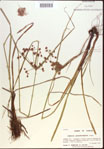 000022454-thumbnail.jpg