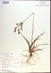 000022485-thumbnail.jpg