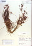 000022491-thumbnail.jpg