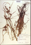 000022524-thumbnail.jpg