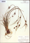000022532-thumbnail.jpg
