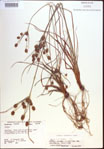 000022534-thumbnail.jpg