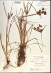 000022536-thumbnail.jpg