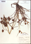000022556-thumbnail.jpg