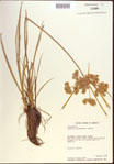 000022641-thumbnail.jpg
