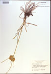 000022645-thumbnail.jpg
