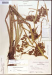 000022693-thumbnail.jpg