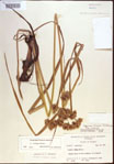000022698-thumbnail.jpg