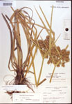 000022700-thumbnail.jpg