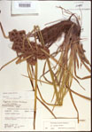 000022701-thumbnail.jpg