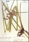 000022710-thumbnail.jpg