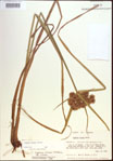 000022712-thumbnail.jpg