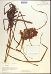 000022714-thumbnail.jpg