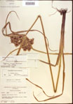 000022718-thumbnail.jpg