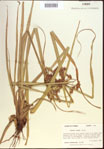 000022723-thumbnail.jpg