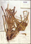 000022725-thumbnail.jpg