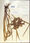 000022726-thumbnail.jpg