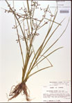 000024187-thumbnail.jpg