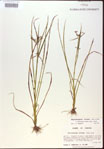 000024188-thumbnail.jpg