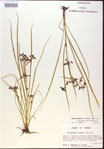 000024189-thumbnail.jpg