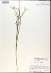 000024190-thumbnail.jpg