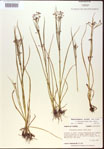000024191-thumbnail.jpg