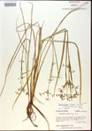 000024192-thumbnail.jpg