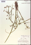 000024193-thumbnail.jpg