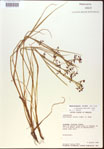 000024194-thumbnail.jpg