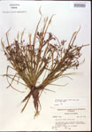 000024195-thumbnail.jpg