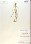 000024197-thumbnail.jpg