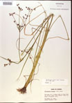 000024198-thumbnail.jpg