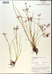000024199-thumbnail.jpg