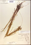 000024200-thumbnail.jpg