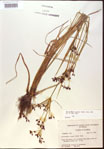 000024201-thumbnail.jpg