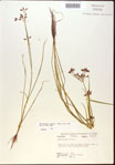 000024202-thumbnail.jpg