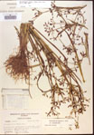 000024203-thumbnail.jpg