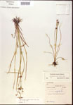 000024204-thumbnail.jpg