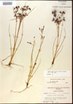 000024205-thumbnail.jpg