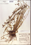 000024206-thumbnail.jpg