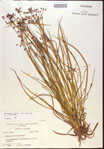 000024207-thumbnail.jpg