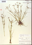 000024208-thumbnail.jpg
