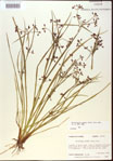 000024209-thumbnail.jpg
