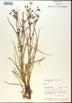 000024210-thumbnail.jpg