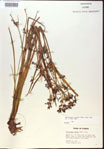 000024211-thumbnail.jpg