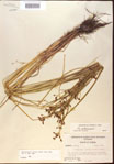 000024212-thumbnail.jpg