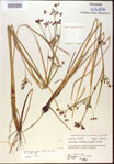 000024213-thumbnail.jpg